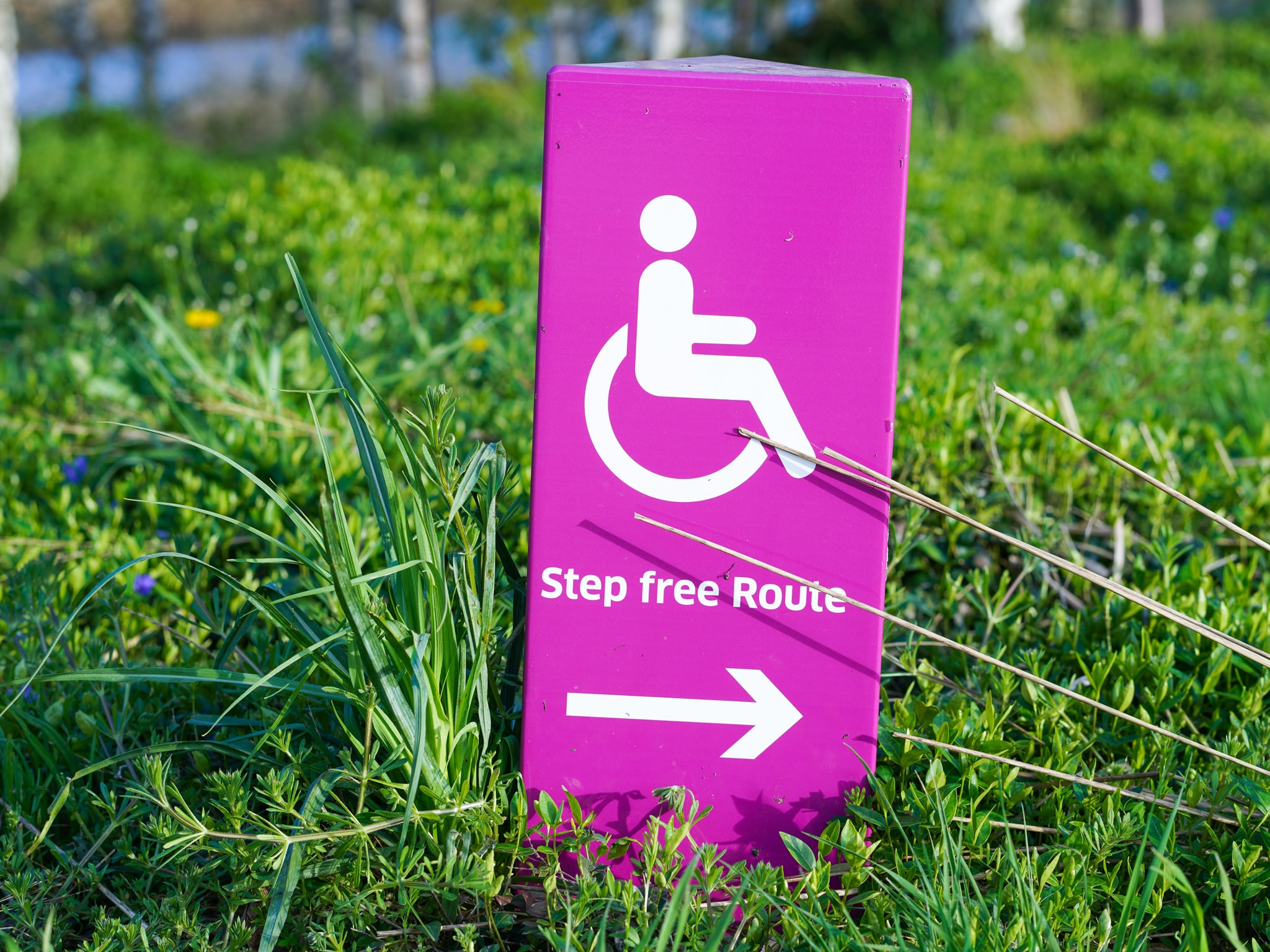Photograph of pink box sign in grass. The sign has a white person-in-a-wheelchair-logo and the words 'Step Free Route' with an arrow pointing right.